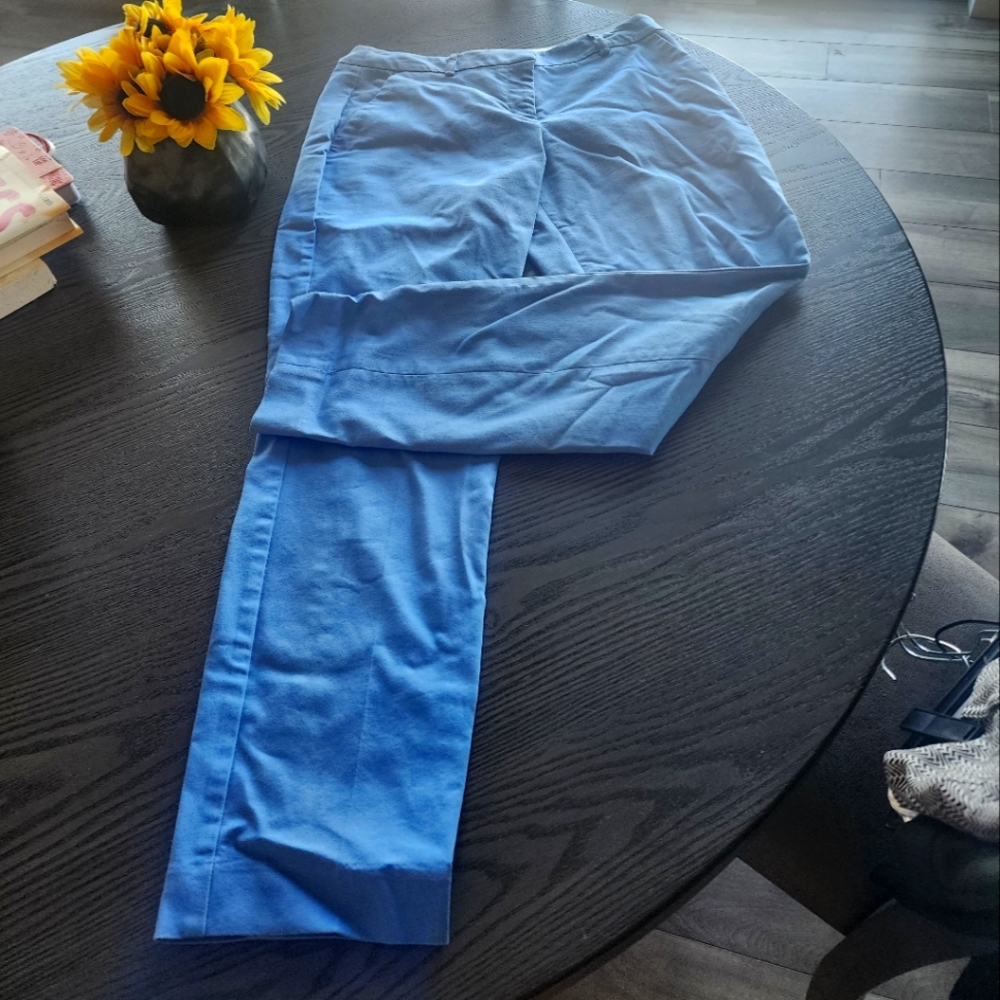 Express columnist dress pants